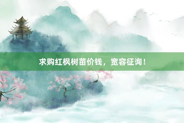 求购红枫树苗价钱，宽容征询！