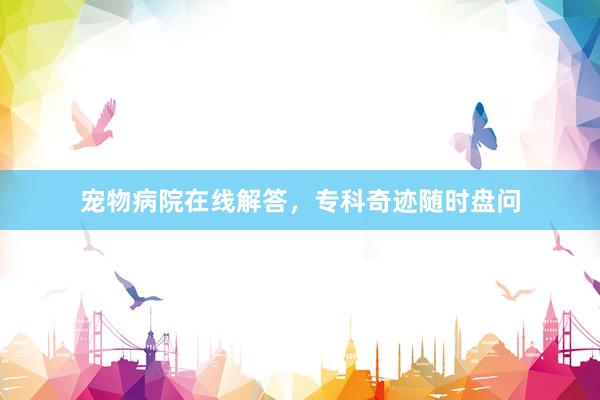 宠物病院在线解答，专科奇迹随时盘问