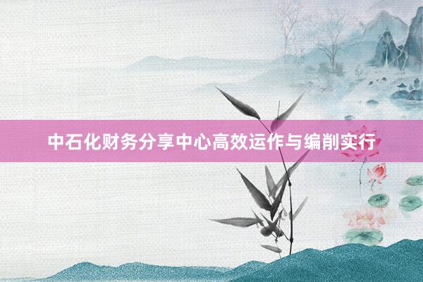 中石化财务分享中心高效运作与编削实行